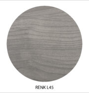 RENK L45